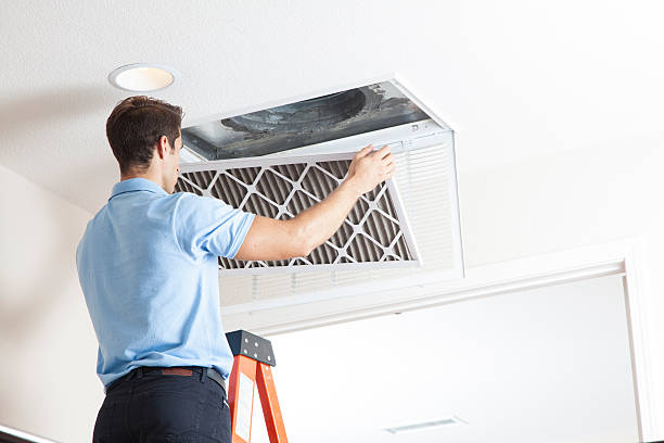 Best Heating repair services  in Bridgeport, MI